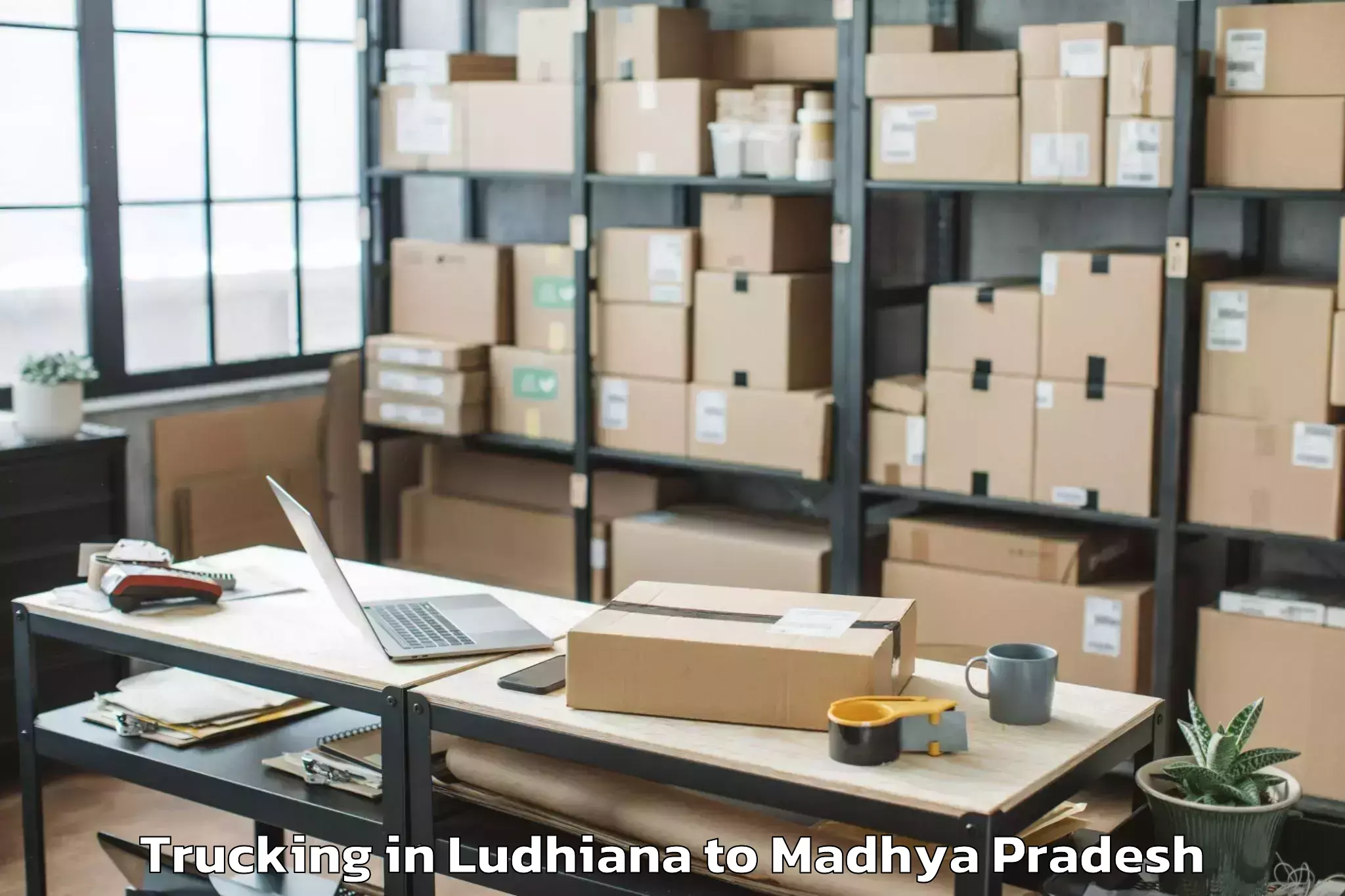 Book Ludhiana to Narwar Trucking Online